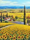 The Golden Hills of Tuscany by Sung Kim